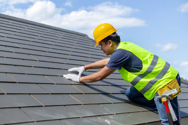 Roof Gutter Cleaning in Union City, MI
