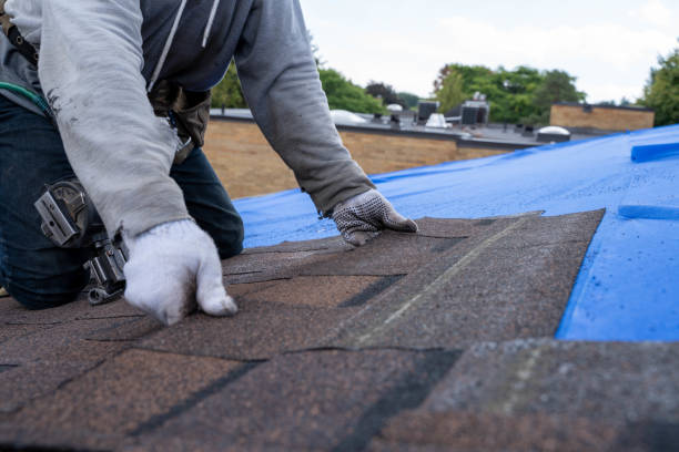 Best Flat Roof Repair Services  in Union City, MI