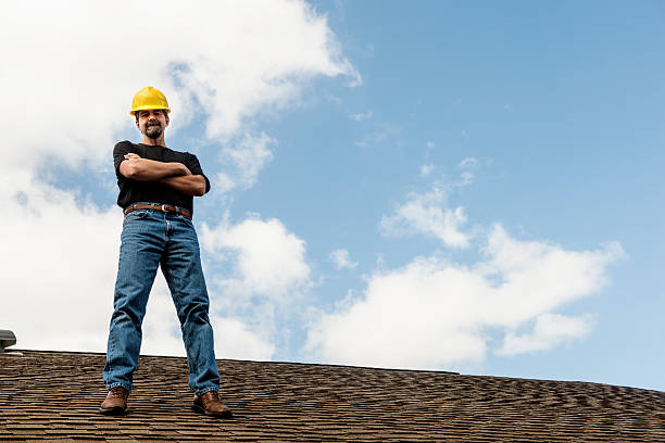 Best Roof Gutter Cleaning  in Union City, MI